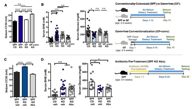akk益生菌,益生菌akk瘦子菌推荐