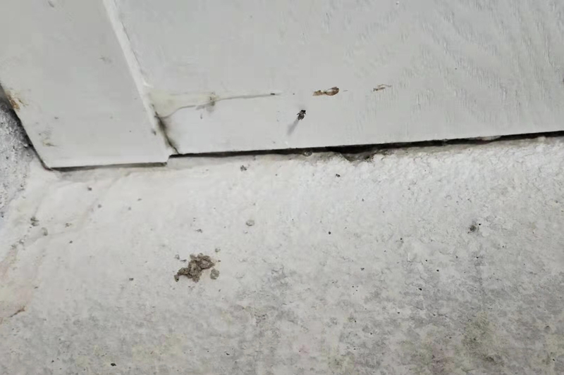 木地板被泡怎么理赔,实木地板被水泡了赔偿问题