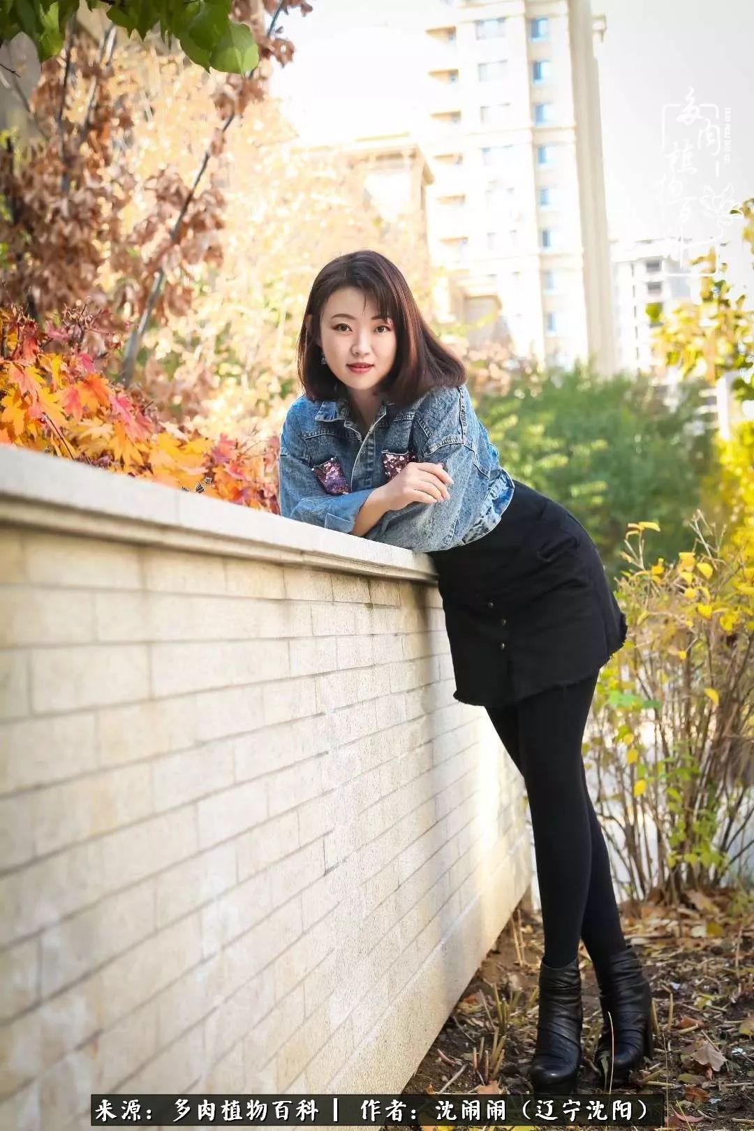 心若向阳无惧晴天,心若向阳不畏风雨