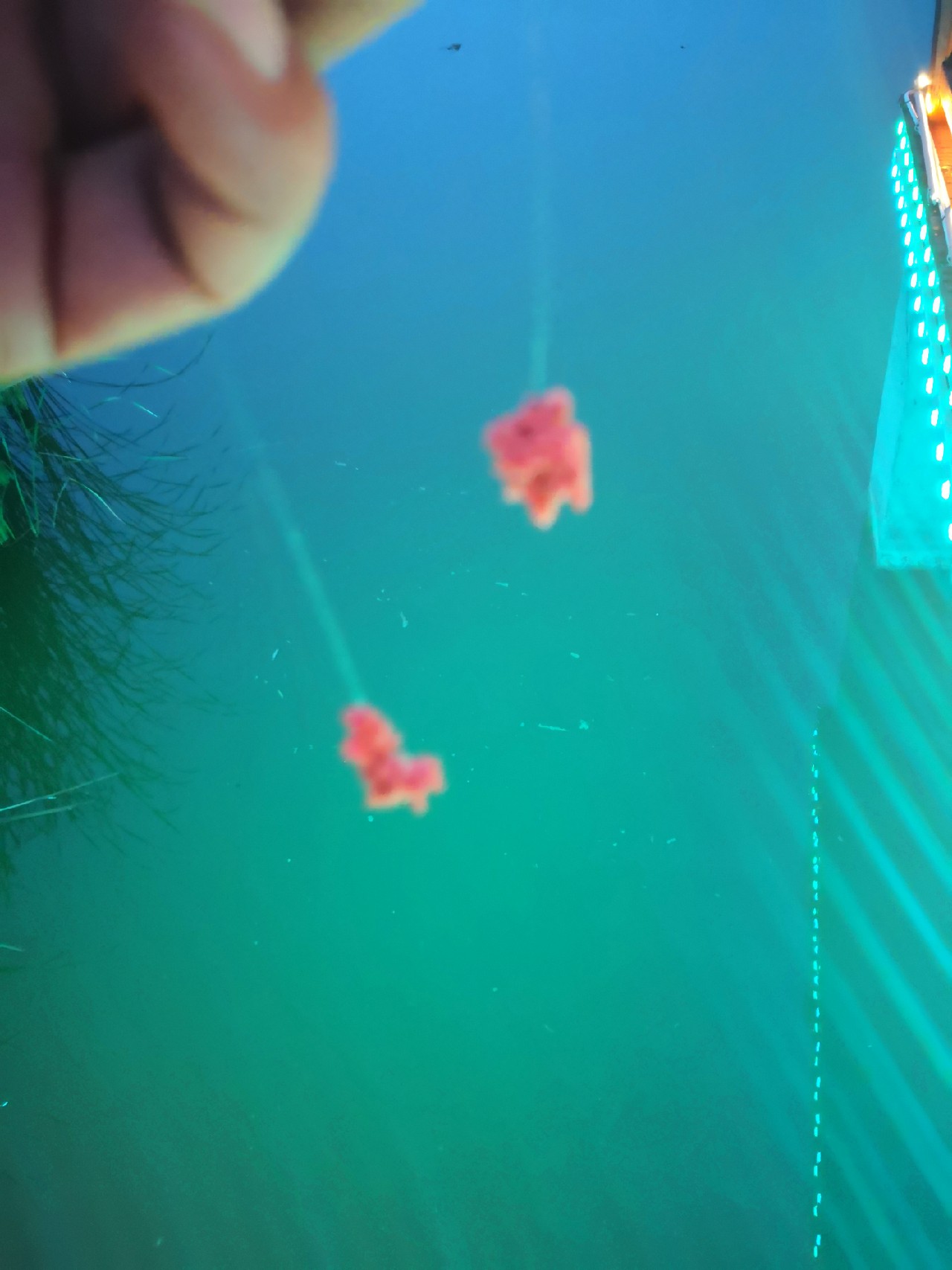 夜钓约会,夜钓男人的浪漫