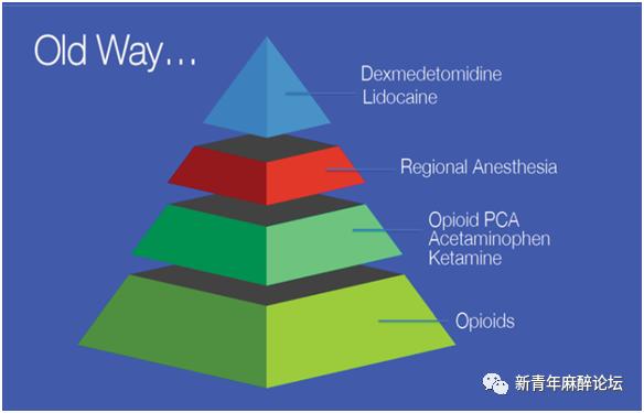 Anaesthesia述评|神经阻滞的未来：不只属于“行家里手”