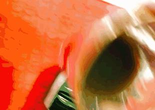 霹雳人妻高情商护夫，稳固地位全靠一身正“气”