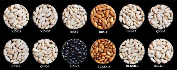 昔日女神负面消息缠身险过气，转手做生意却搞得风生水起