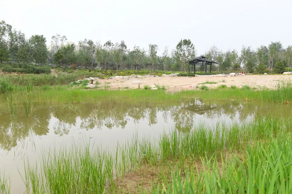 这一年的变化翻天覆地,昌平县城的现状