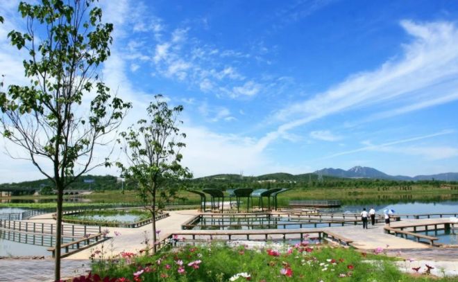 “四张新名片”带你打卡“一枝独秀”的石景山