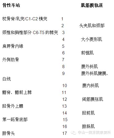 筋膜的康复训练方法,12条筋膜链解析及治疗手法