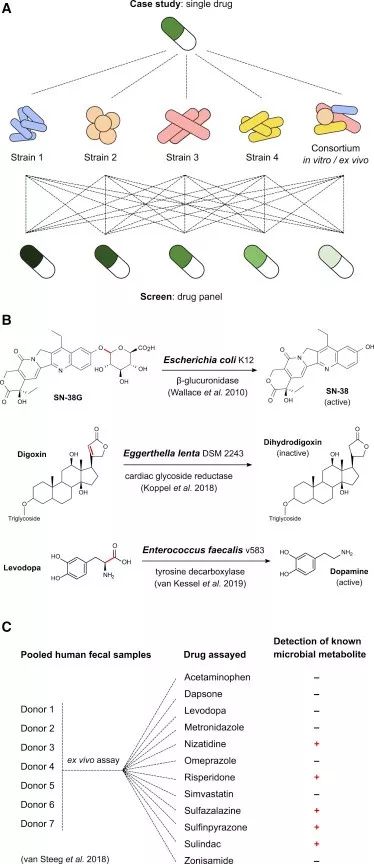 cell子刊biology,cell子刊文章