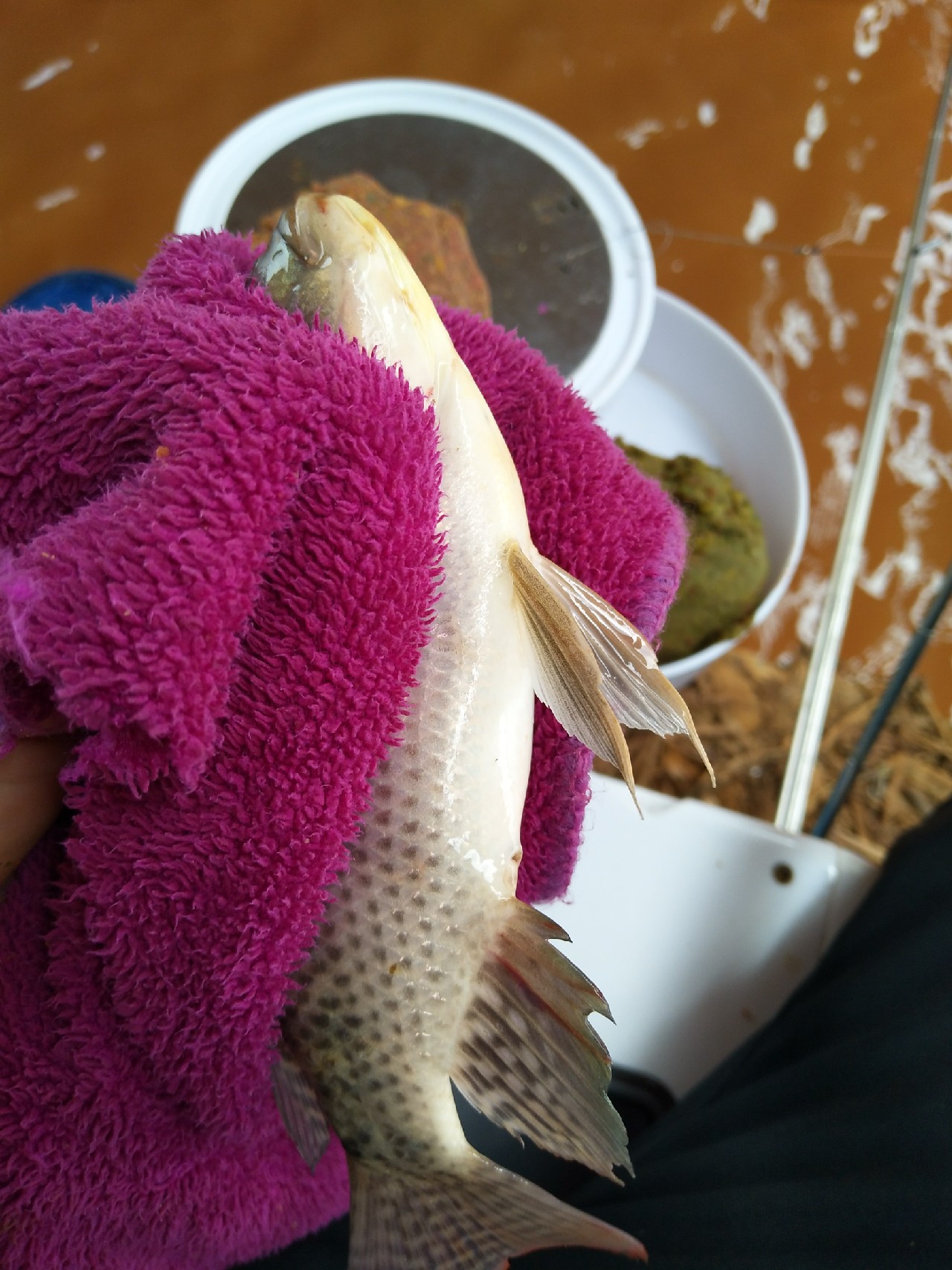 一不小心成坑冠，奈何狂拉还是败给网工...