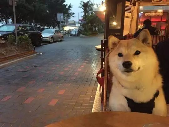 七夕你要怎么度过,七夕你会如何度过