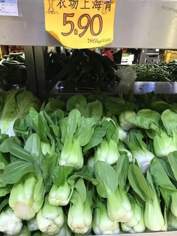 在迪拜生活需要多少存款,在迪拜普通人打工生活消费高吗