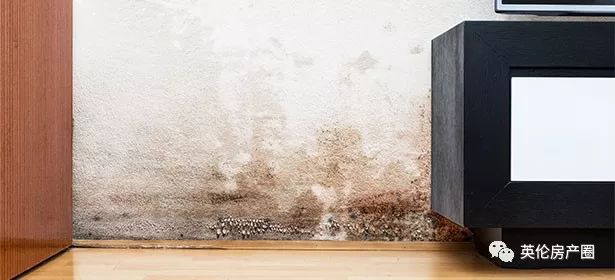 几经寻觅，她终于住进了180度绝版湖景房，但却秒后悔，只因没有做好这件事