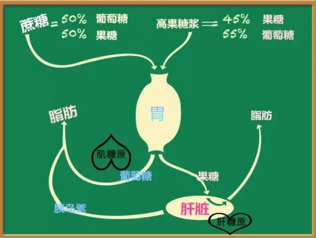 水果里的糖分吃多了会加速变老吗,水果里的糖分吃了会变老吗