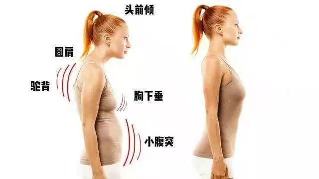 骨盆对男性的影响,骨盆对于腹肌的影响