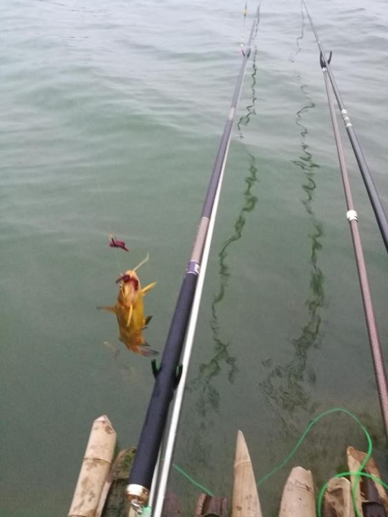 手持太极战蟹将擒得大鲤披月归