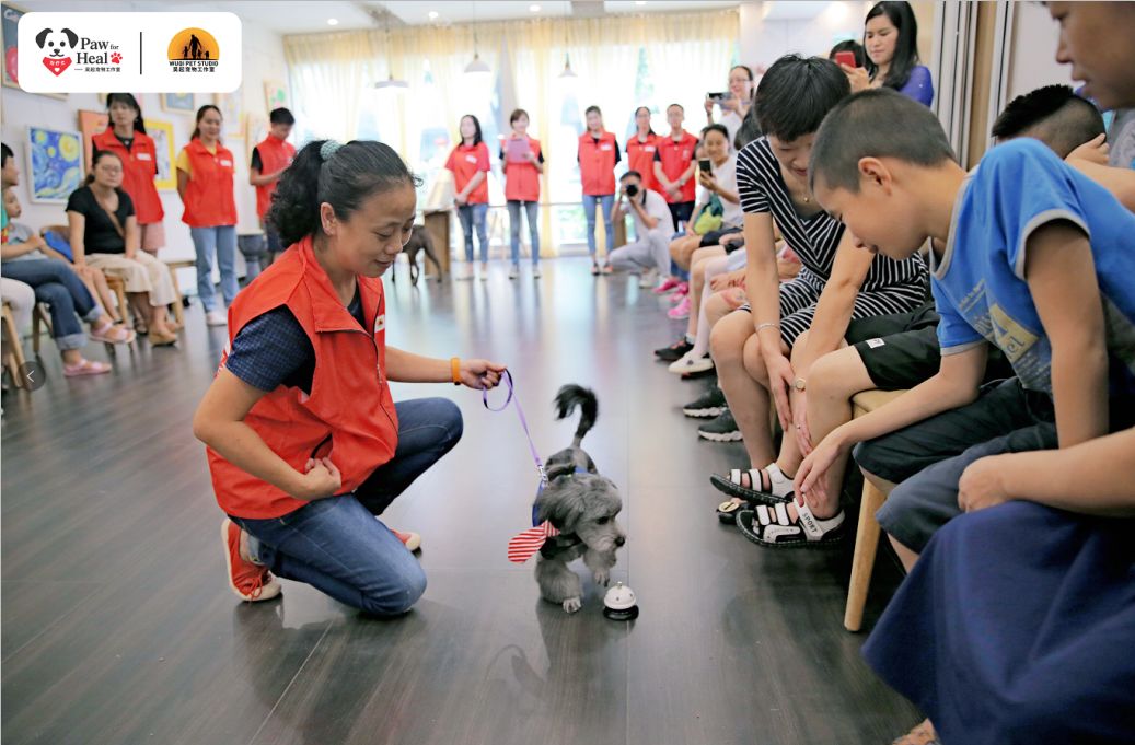 用生命影响生命朗诵央视,用生命影响生命手语朗诵