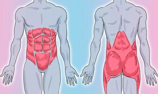 平板支撑交替摸肩练什么,平板支撑可以练腹直肌吗