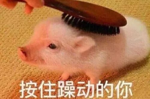 深圳自动办理出入境证件,出入境证件自助办理流程