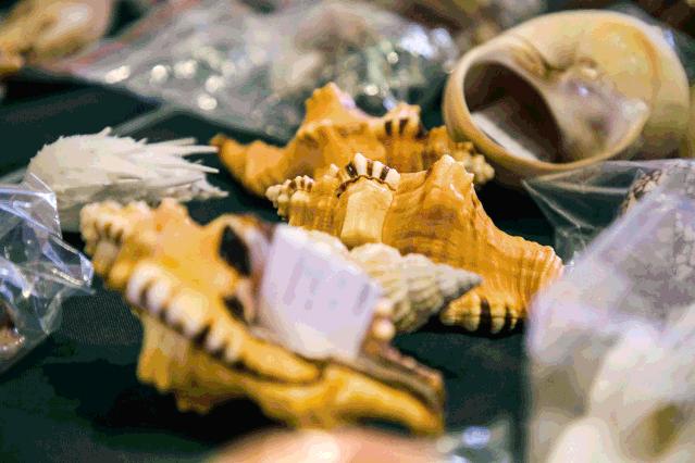 周末这样过总是嫌吃不够怎么办,周末总是过得很颓废