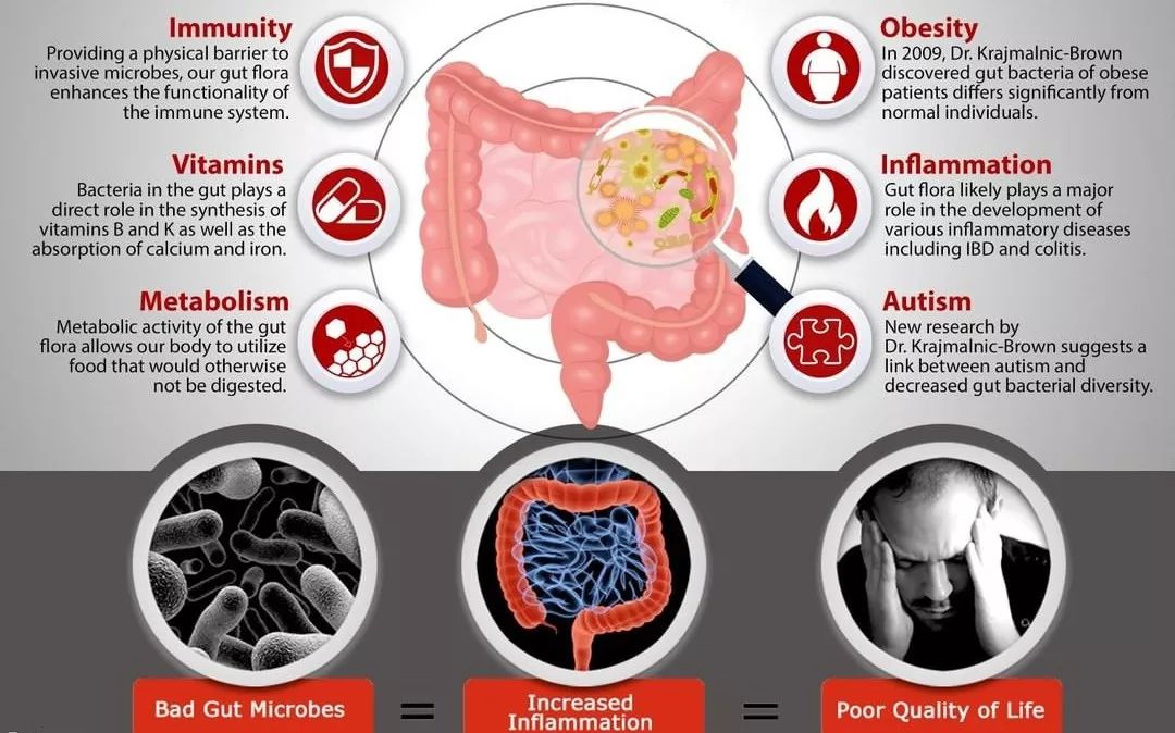 霹雳人妻高情商护夫，稳固地位全靠一身正“气”