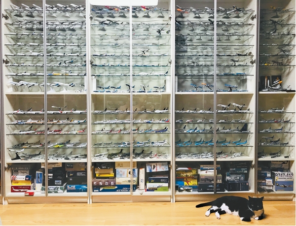 飞机模型收藏者,飞机模型收藏最多的人