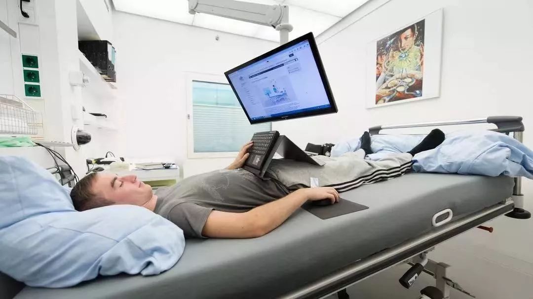 遛狗师一年的工资,遛狗师可以月入过万