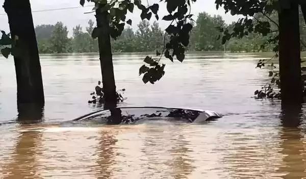 台风利奇马造成的财产损失,利奇马台风汽车受损情况