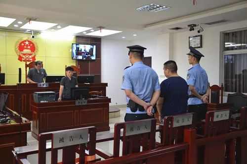 盐山县判决的组织卖淫案例,罗翔组织卖淫罪判决案例