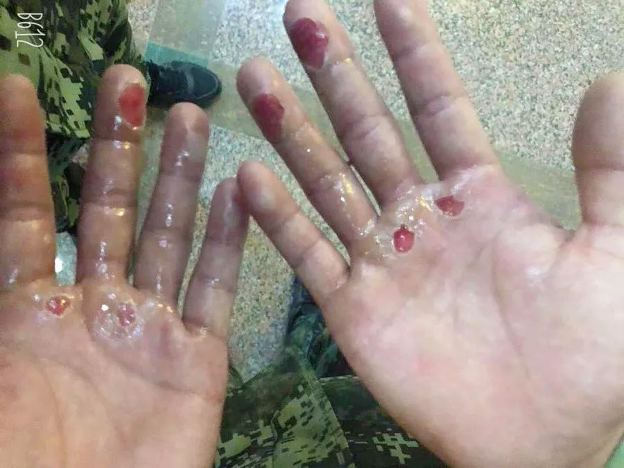 从这双手，带你走近一个有血性的特战队员