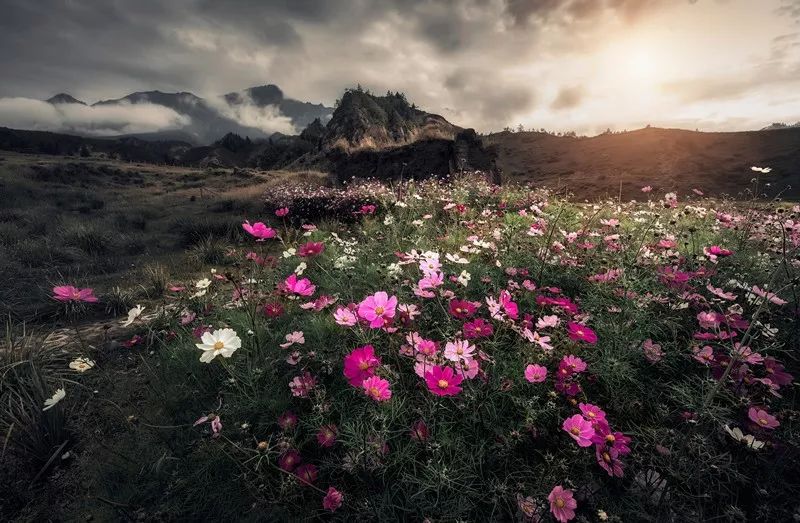 悦读吸引力法则,阅读创造价值