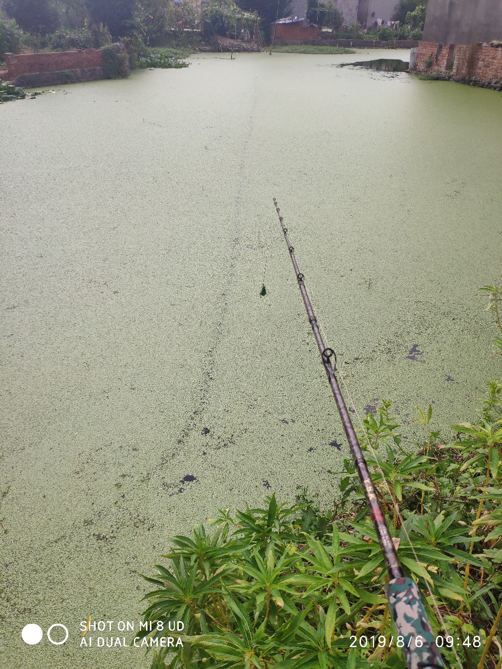 路亚轮怎么清洗,路亚轮拆装保养视频