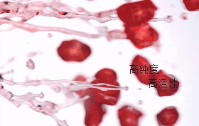 30岁女人必须让自己做到的事,女人30岁了还需要向现实妥协吗