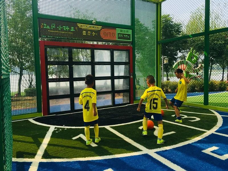 武汉杨春湖社区足球公园,杨春湖足球场