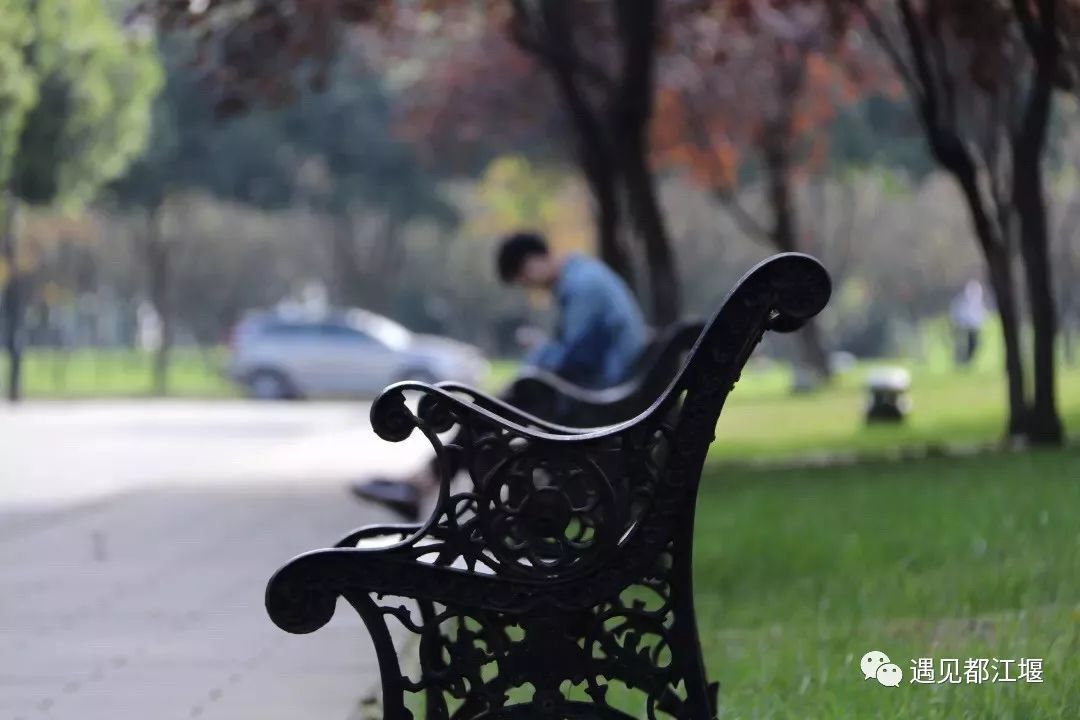 青城山可以去学习吗,四川在青城山的大学