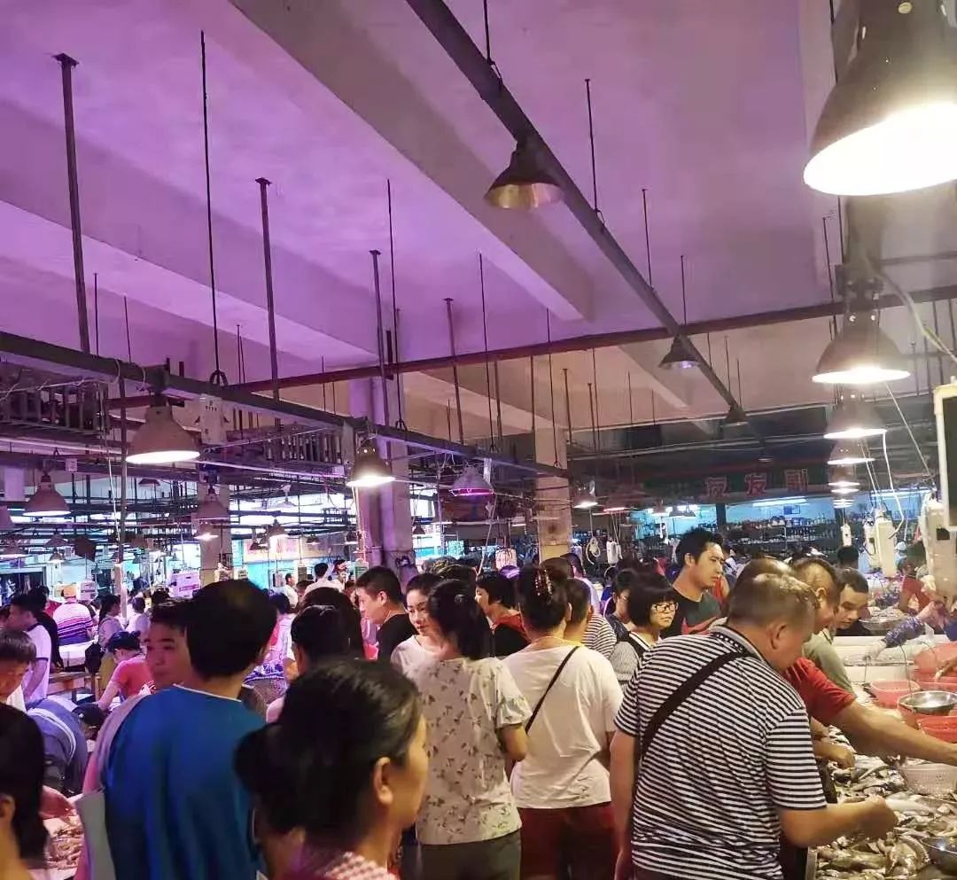 香港tvb经典打卡,香港湛江海鲜