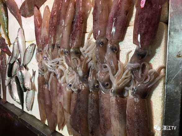 香港tvb经典打卡,香港湛江海鲜