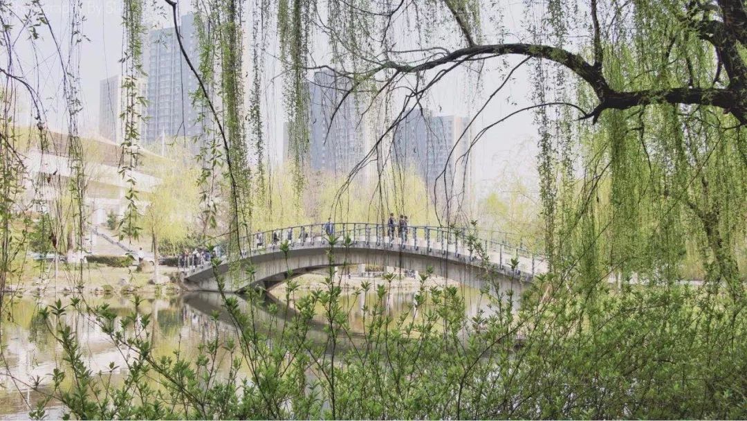 嗨，新同学你好，这里是河海大学！