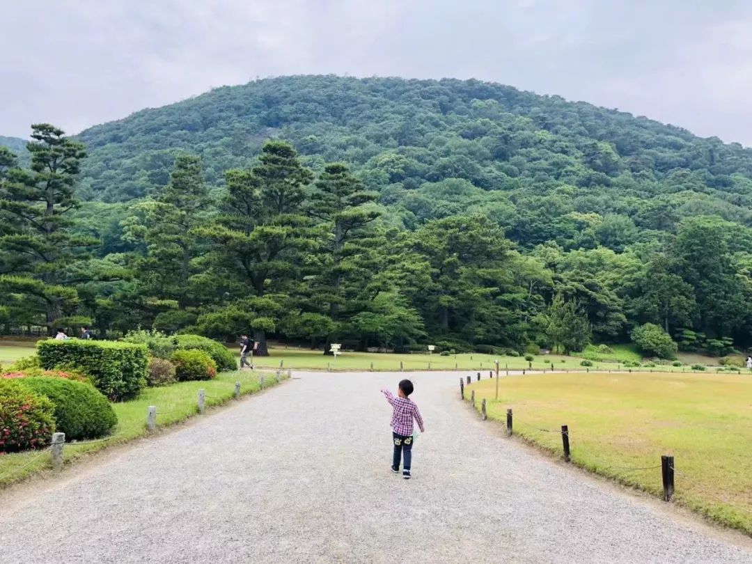 一枚熊孩子+三位高龄老人，携老扶幼的superhard模式，照样玩转日本自由行