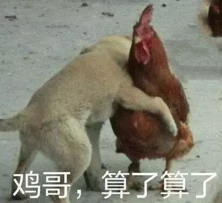 鸡的什么部位不能吃？它到底有多毒，很多人还不知道