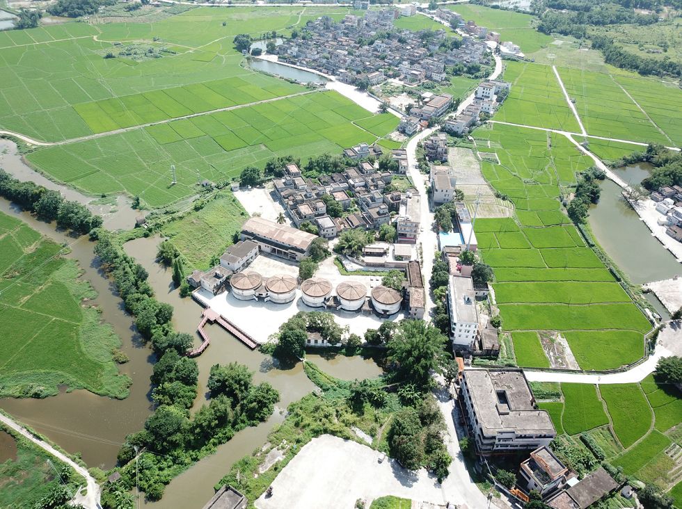 这批青年人才选择扎根开平创业！他们这样评价开平…