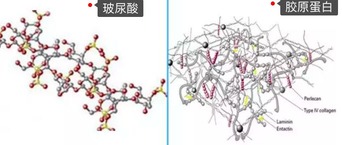 激荡三十年,激荡三十年解读