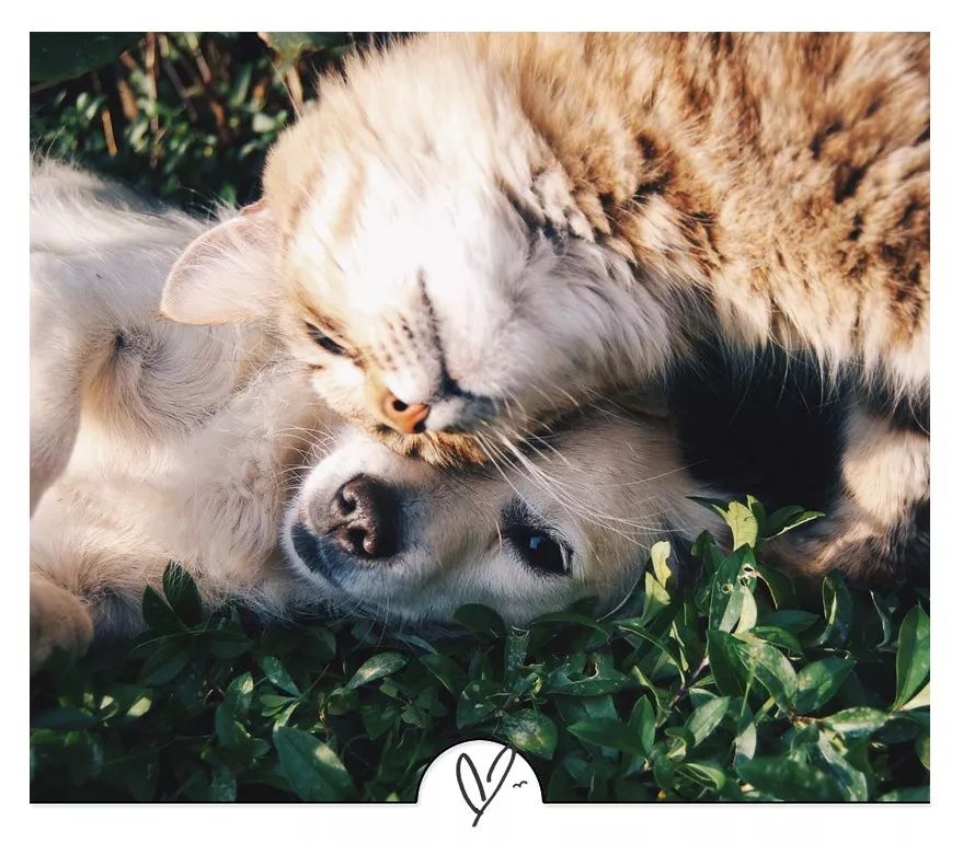 成年人的社交礼仪打招呼,十大社交礼仪经典