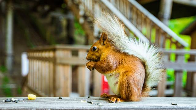 中亚五国俄罗斯自驾游,中亚五国旅行