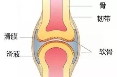 膝盖关节骨刺怎么治才能彻底根除,膝盖骨刺初期怎么治才能彻底根除