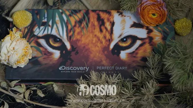 美人计|龙妈竟然用中国眼影化妆？等不及看外国代购来中国买买买了