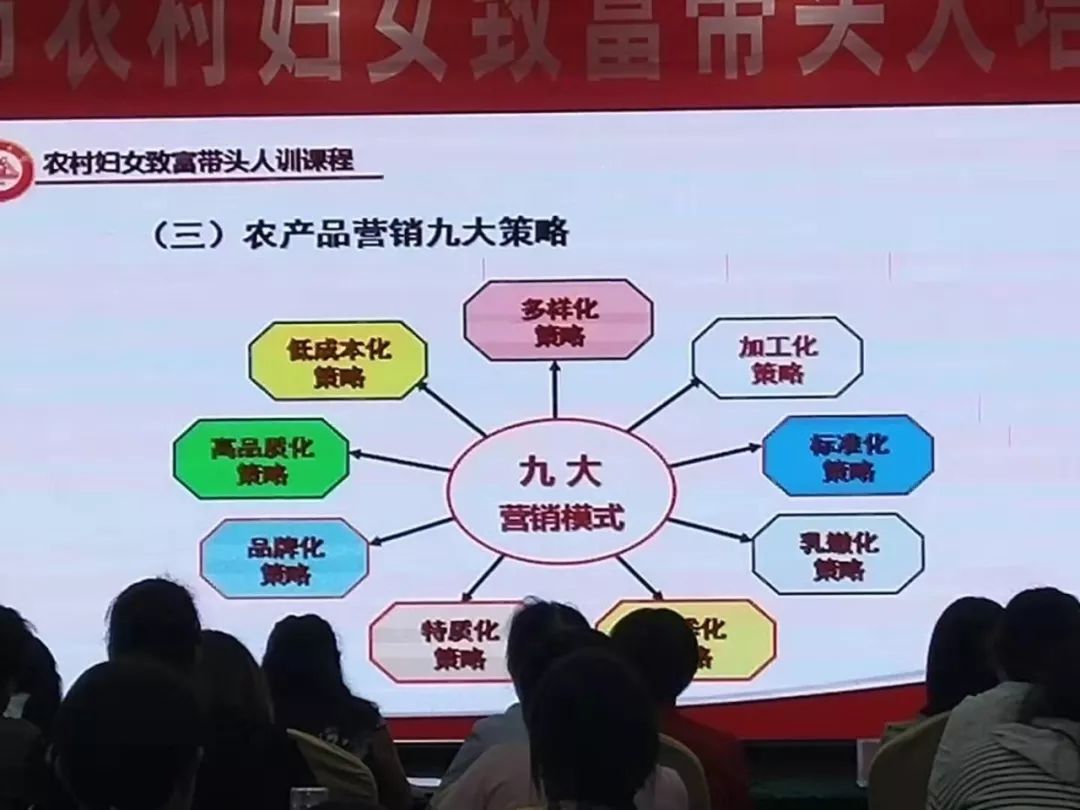 巾帼致富带头人脱贫培训班,乡村振兴巾帼行动女致富带头人