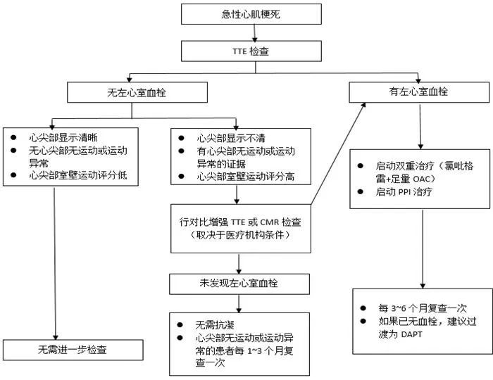 罗助荣,左室附壁血栓抗凝多久能清除