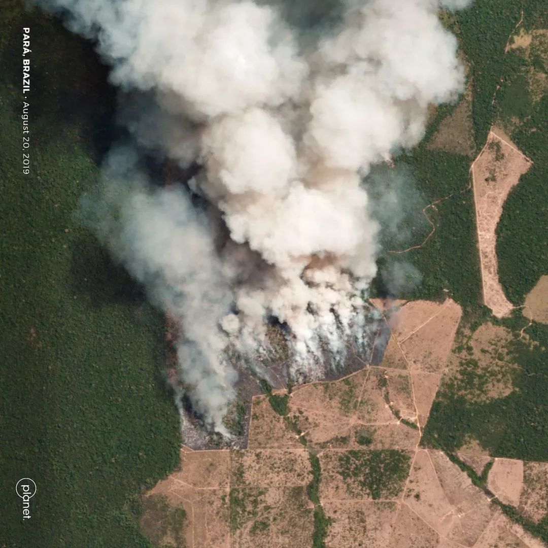 亚马逊热带雨林危机,亚马逊热带雨林的危机