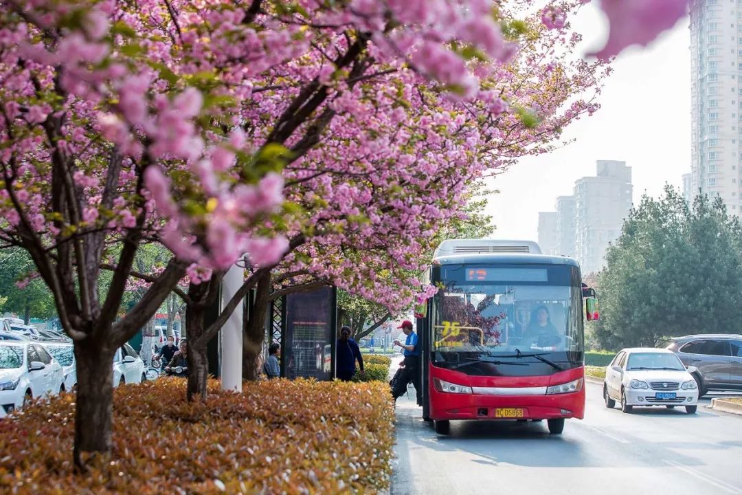 刷屏!一份考卷难倒了洛阳人,全答对的人没几个…