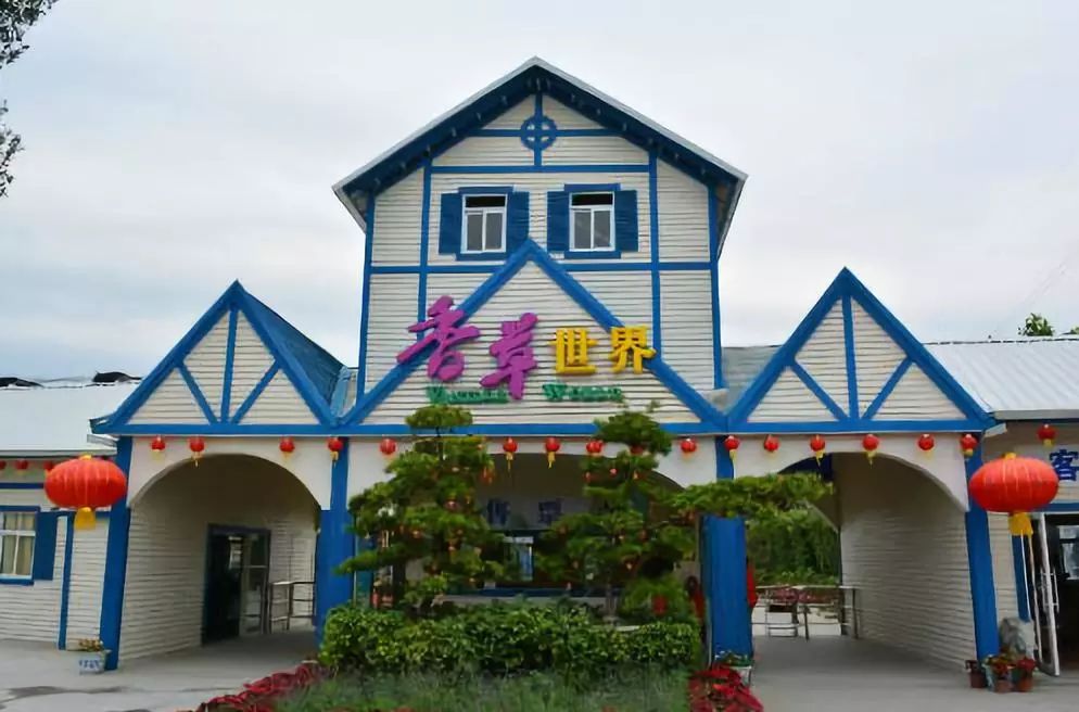 权威发布|这样的花都，太上头了！