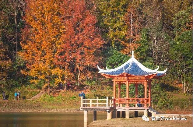 广西今日头条地址,广西有哪些头条自媒体